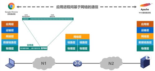 计算机网络体系结构与计算机数据服务